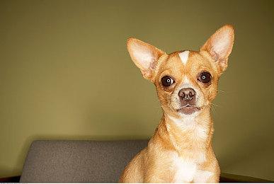 《最终幻想16》没对多样性妥协 还是没有黑人角色